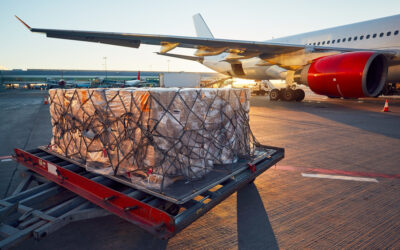 INTERNATIONAL COURIER & CARGO SERVICES